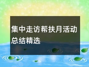集中走访帮扶月活动总结精选