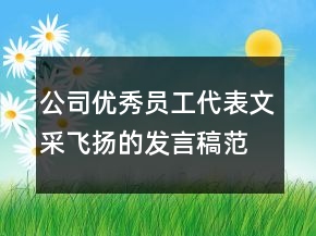公司优秀员工代表文采飞扬的发言稿范文300字