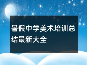暑假中学美术培训总结最新大全