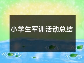 小学生军训活动总结