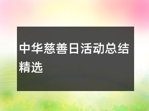 中华慈善日活动总结精选