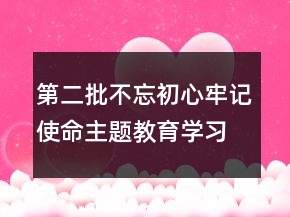 第二批不忘初心牢记使命主题教育学习心得