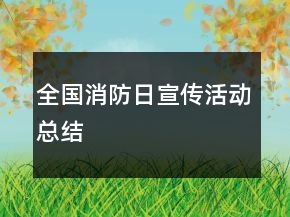 全国消防日宣传活动总结