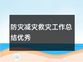 防灾减灾救灾工作总结优秀