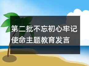 第二批不忘初心牢记使命主题教育发言材料大全