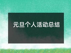 元旦个人活动总结