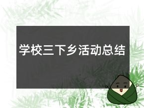 学校三下乡活动总结