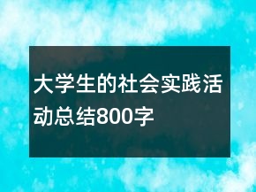 大学生的社会实践活动总结800字