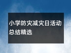 小学防灾减灾日活动总结精选