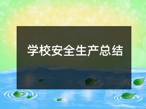 学校安全生产总结