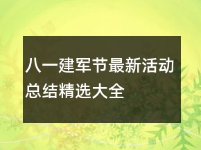 八一建军节最新活动总结精选大全