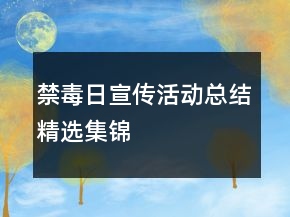 禁毒日宣传活动总结精选集锦