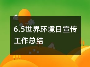 6.5世界环境日宣传工作总结
