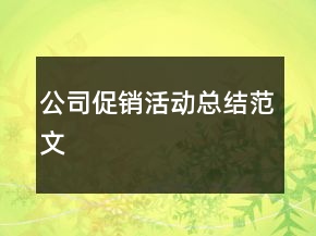 公司促销活动总结范文