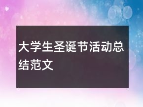 大学生圣诞节活动总结范文