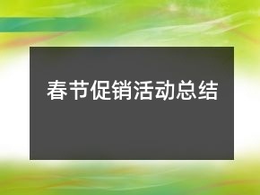 春节促销活动总结