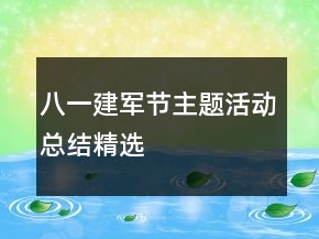 八一建军节主题活动总结精选