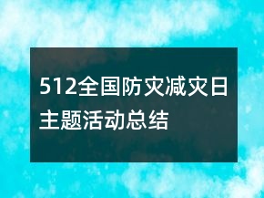 512全国防灾减灾日主题活动总结