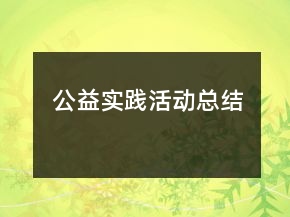 公益实践活动总结