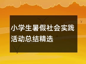 小学生暑假社会实践活动总结精选