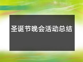 圣诞节晚会活动总结