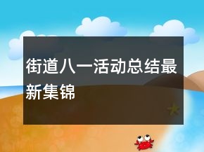 街道八一活动总结最新集锦