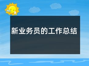 新业务员的工作总结