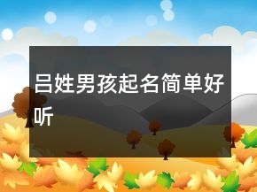 吕姓男孩起名简单好听