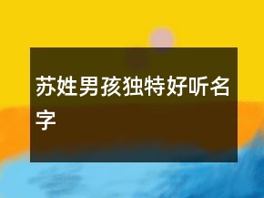 苏姓男孩独特好听名字