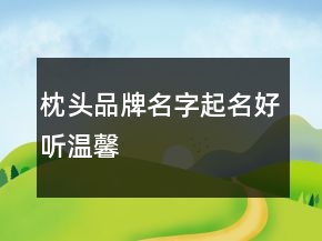 枕头品牌名字起名好听温馨