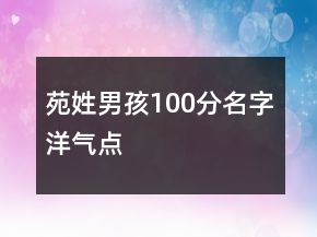 苑姓男孩100分名字洋气点