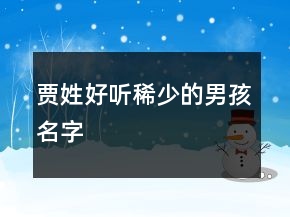 贾姓好听稀少的男孩名字