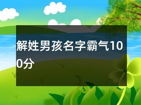 解姓男孩名字霸气100分
