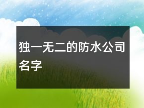 独一无二的防水公司名字