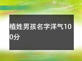 植姓男孩名字洋气100分