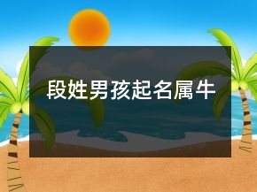 段姓男孩起名属牛