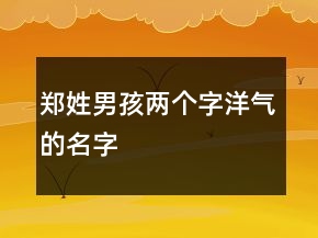 郑姓男孩两个字洋气的名字