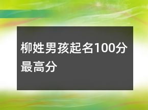 柳姓男孩起名100分最高分