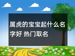 属虎的宝宝起什么名字好 热门取名