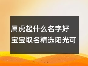 属虎起什么名字好 宝宝取名精选阳光可爱