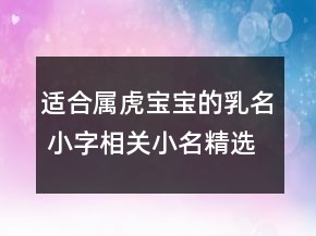 适合属虎宝宝的乳名 小字相关小名精选