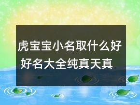 虎宝宝小名取什么好 好名大全纯真天真