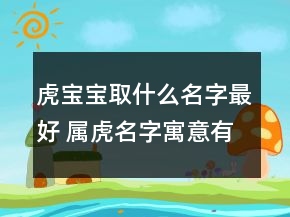 虎宝宝取什么名字最好 属虎名字寓意有才华