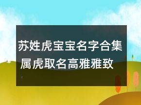 苏姓虎宝宝名字合集 属虎取名高雅雅致
