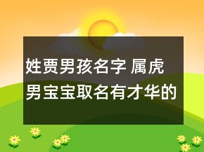 姓贾男孩名字 属虎男宝宝取名有才华的