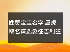 姓贾宝宝名字 属虎取名精选象征吉利旺财