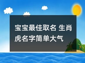 宝宝最佳取名 生肖虎名字简单大气