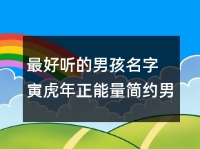 最好听的男孩名字 寅虎年正能量简约男婴名字