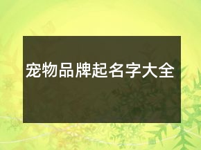 宠物品牌起名字大全