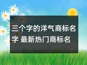 三个字的洋气商标名字 最新热门商标名称